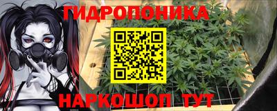 СК Кимры