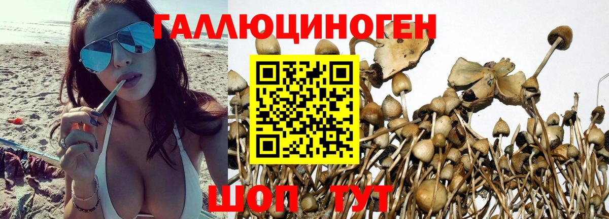 Галлюциногенные грибы GOLDEN TEACHER Лабытнанги
