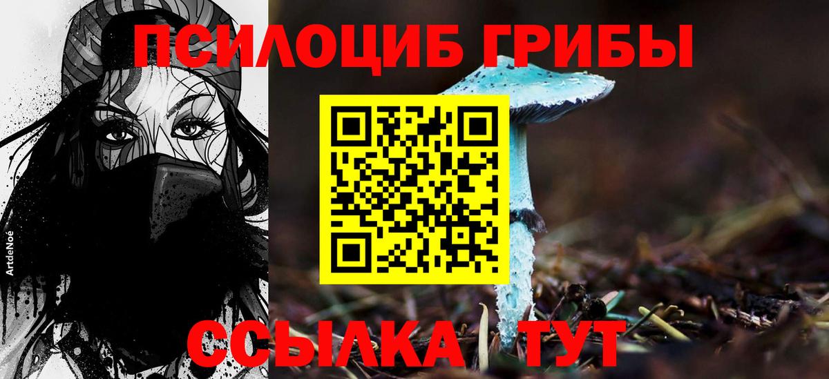 Лабытнанги  Псилоцибиновые грибы ЛСД  Галлюциногенные грибы Psilocybine cubensis  Вход с VPN 